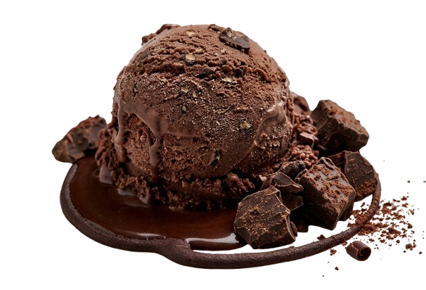 Fudge Brownie
