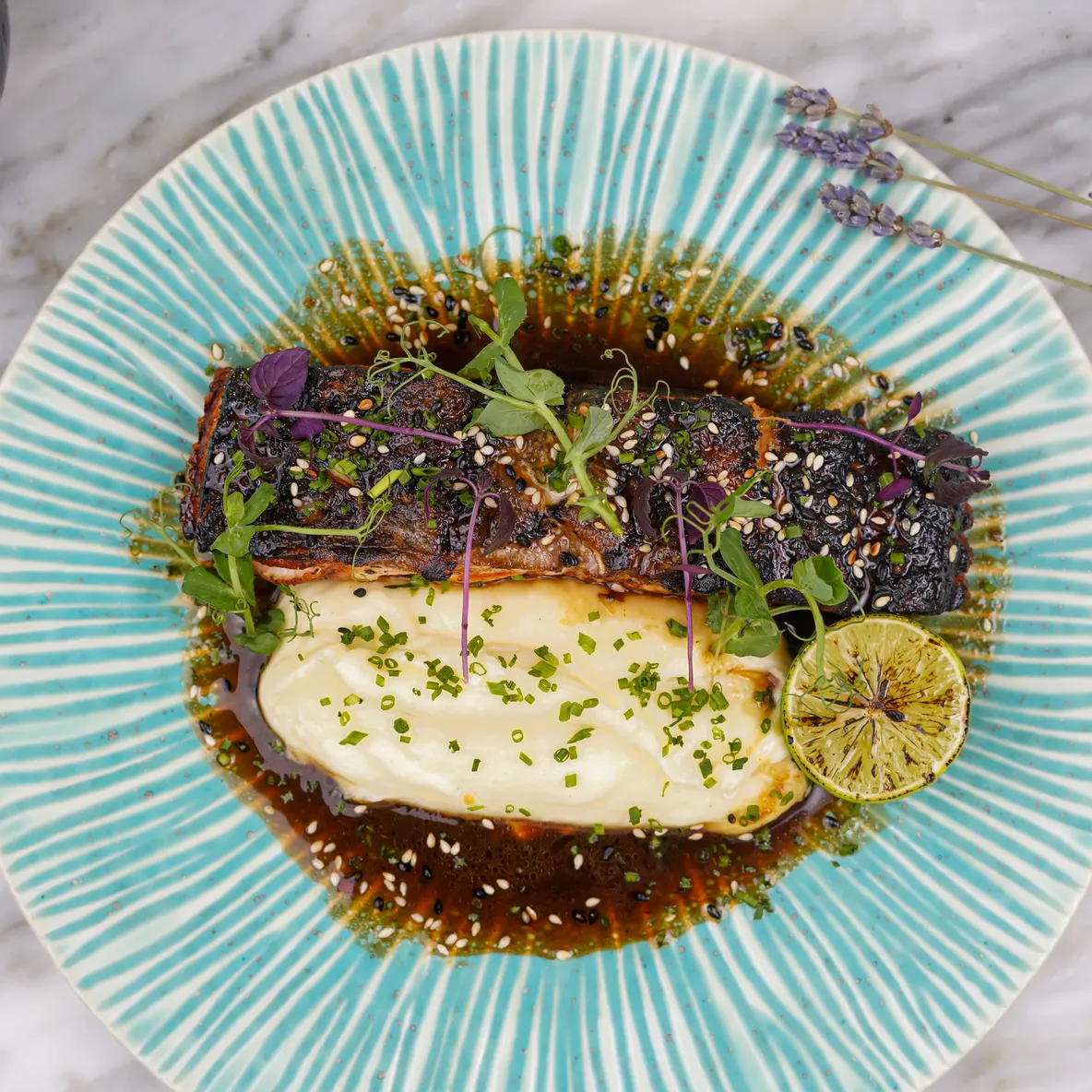 Salmon Tuturuga 