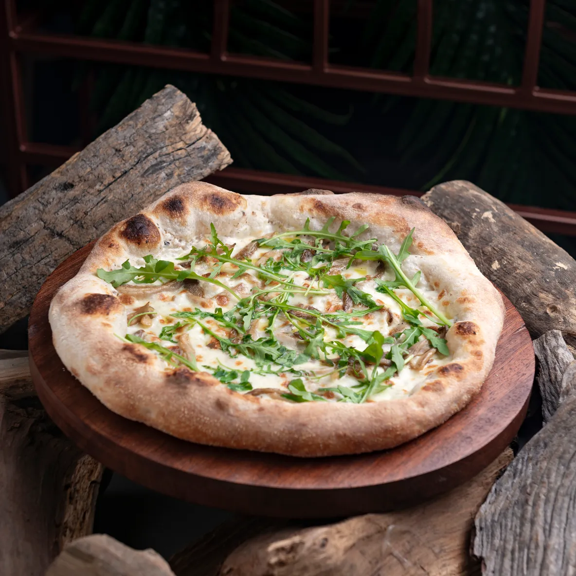 Truffle Mushroom